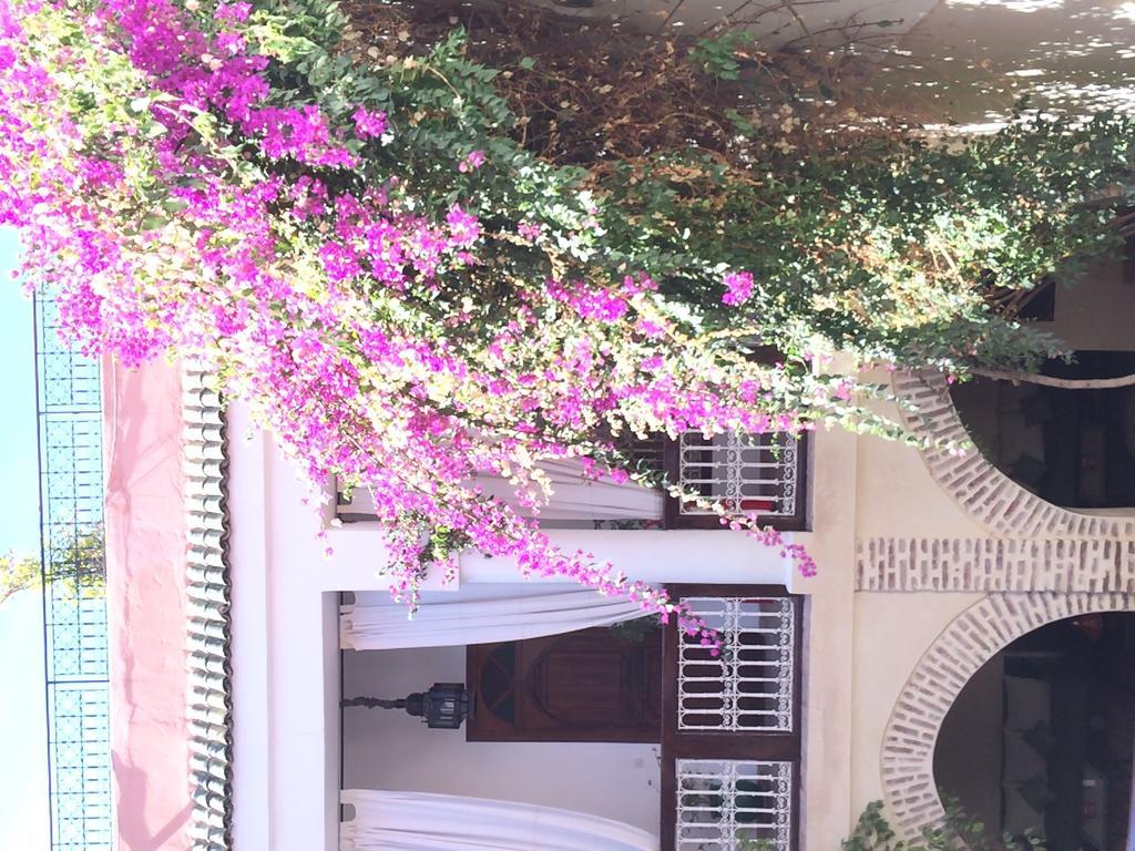Riad Dar Palmyra Marrakesh Exterior photo