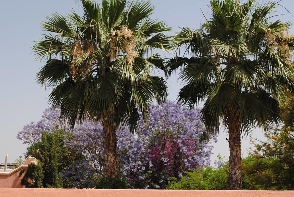 Riad Dar Palmyra Marrakesh Exterior photo